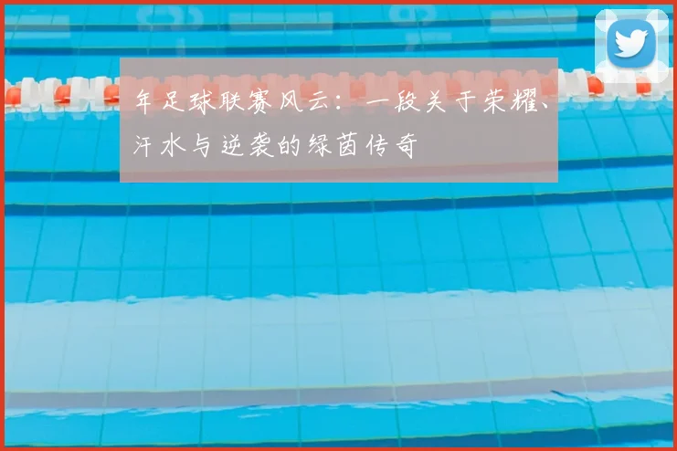 年足球联赛风云：一段关于荣耀、汗水与逆袭的绿茵传奇