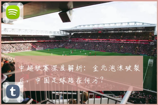 中超联赛深度解析:金元泡沫破裂后,中国足球路在何方?